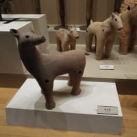 馬の赤ちゃんはね・・・？？