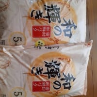 備蓄米の古古米