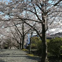 はじめまして