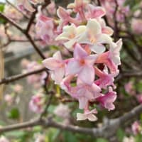 goo blog終了のお知らせ。