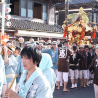 八重垣神社祇園祭　神輿連合渡御