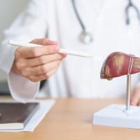 肝臓と膵臓が静かに「脂肪化」――こうすれば内臓脂肪を減らせる