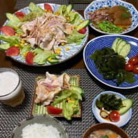 冷しゃぶサラダとわかめのお刺身