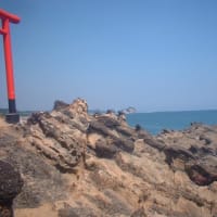 海