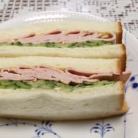 サンドイッチ＆おろしハンバーグ