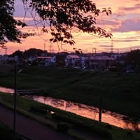 利根運河の夕焼け