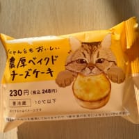 にゃんこチーズケーキ🐾