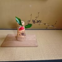 桜終わりました　お軸は廻文　最後の赤　肥後椿日の丸