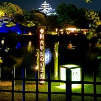 岡山城の鳥城灯源郷　岡山後楽園の幻想庭園