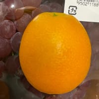 🌻夏の文芸(その2)🥒やさいや🍇果物たち