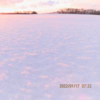 朝焼けに染まる雪原