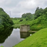 散歩道の夏模様