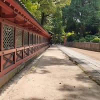 根津神社／夏詣 かざぐるま祭り