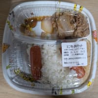 よりべん(片寄った弁当)