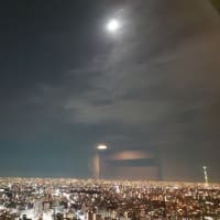月夜東京。ウ－バ－イーツ配達