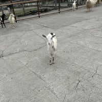 那須塩原　１日目②