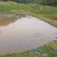 中山間事業　草刈り作業