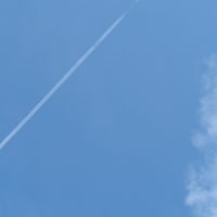 大國主大神の言葉　　　　　空の白さはかなり解消されました