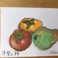 しよいか〜ご習志野の栗と柿