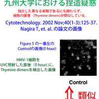 論文#3(Cytotech2002)