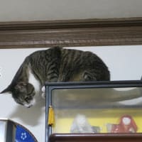 久々に高み