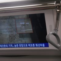 韓国ソウル・レポート2019年9月  Part 3