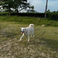 ひなた保育園と一人っ子みなと