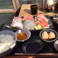 大磯港で釣り