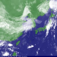 東村山に集中豪雨襲来 2 <No. 2795>