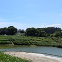 夏山にむけて