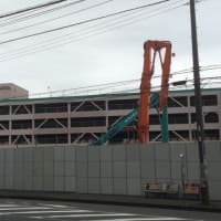 風邪、ときどき、ラーメン。