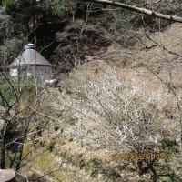 高津峡その２