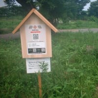 暑さの中狛犬を見に行く❣