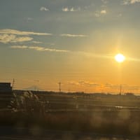 つくばの旅2〜大宝八幡宮〜