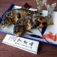 鮎料理アオ山で