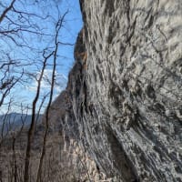 2025.3.22-23 熱々だった二子山