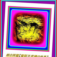 🐉🌈〖児童公園〗樹木に【🔥不動明王様🔥】出現❢❢
