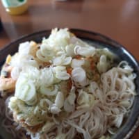 暑い日は麺類だね？