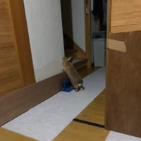 大福の工事