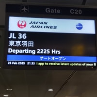 シンガポール旅行　最終日