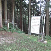 五番関から大峰山寺まで往復しました。　その1　2024年9月13日