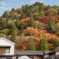 愛知県　秋の香嵐渓／茶臼山高原