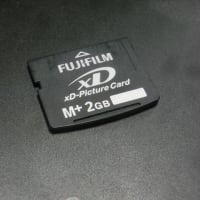 古いデジカメを引っ張り出す