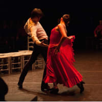 「カルメン」、舞踊的表現～アントニオ・ガデス舞踊団公演