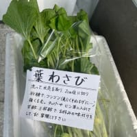 4月には。