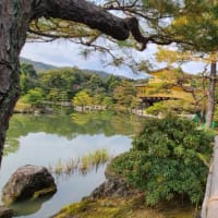 〜修学旅行4日目〜