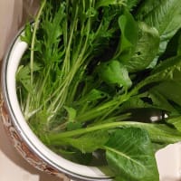 初めて作った鶏ハム