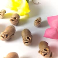 「金魚草」でドクロ祭り💀
