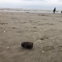 冬の海に