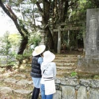 　　　　　　秋山好古揮毫の石碑写真集　第３版が出版された